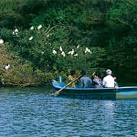 Bird Sanctuary 